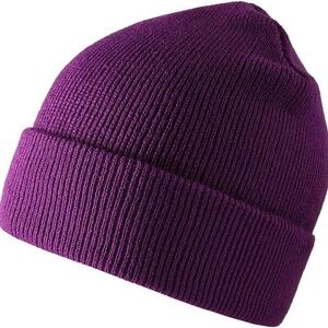 BRAND NEW unisex brixton purple winter snow beanie toque hat